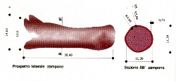 Zampone
